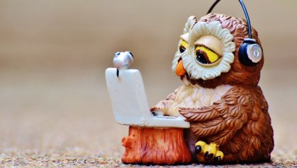Fake owl behind laptop