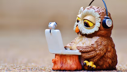 Fake owl behind laptop